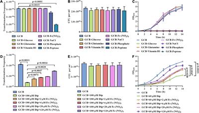 Effect of Nutritional Determinants and TonB on the Natural Transformation of Riemerella anatipestifer